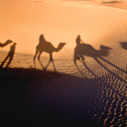 Abahna White Grapefruit