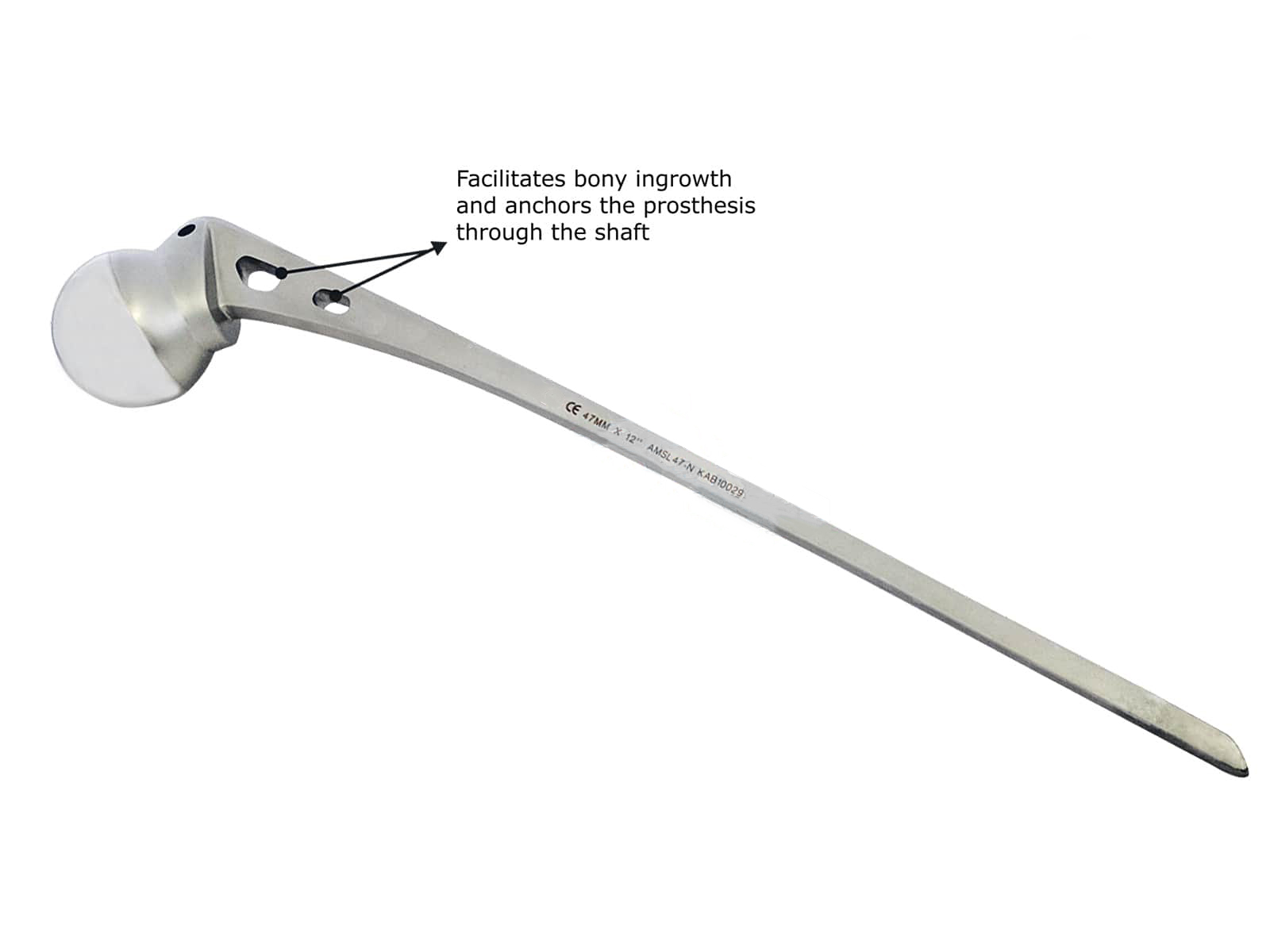 Austin Moore Hip Prostheses - Extra Long Stem of length 300mm Sterile/Non Sterile