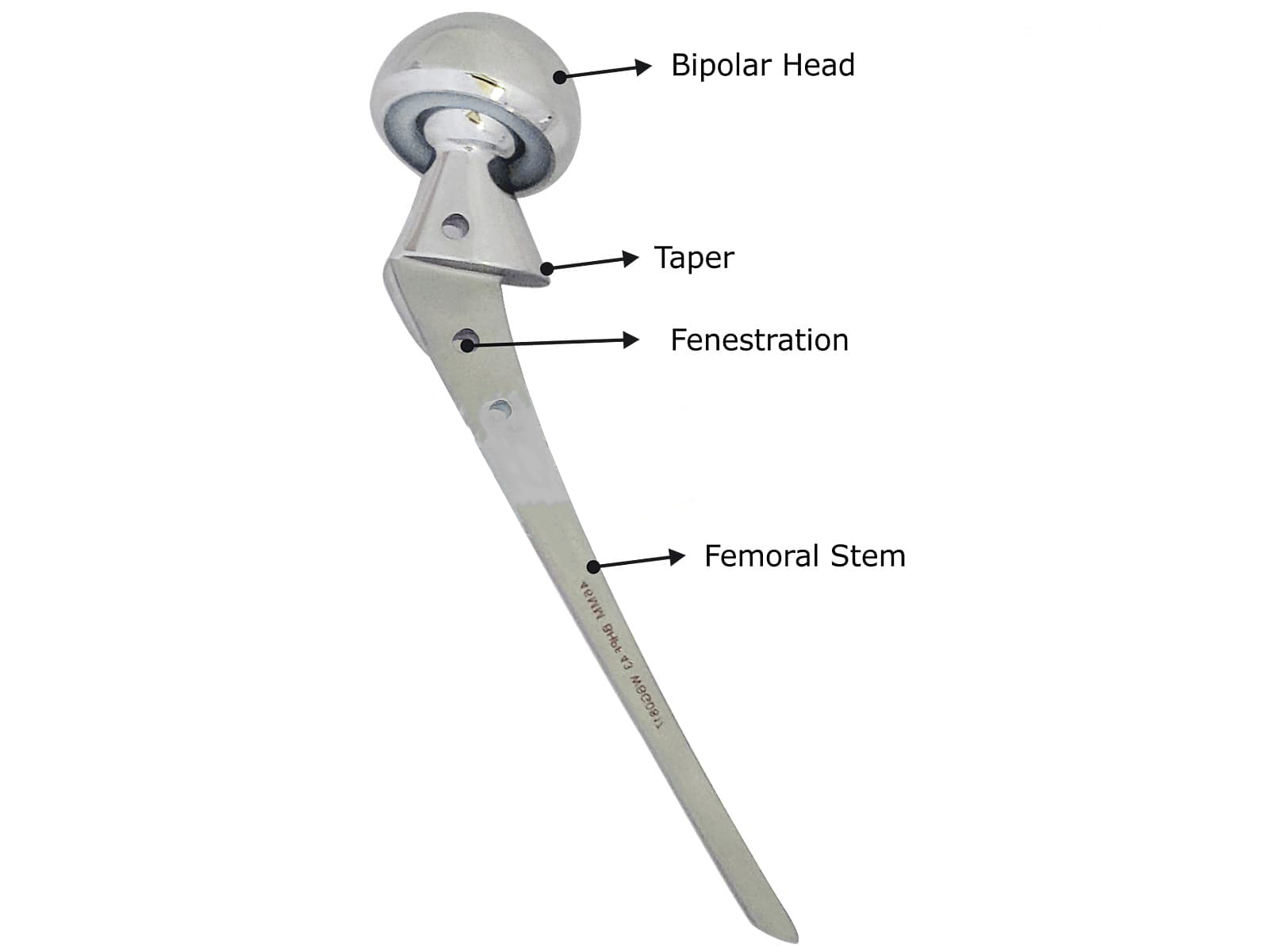 Bipolar Hip Prosthesis (Fenestrated) Sterile