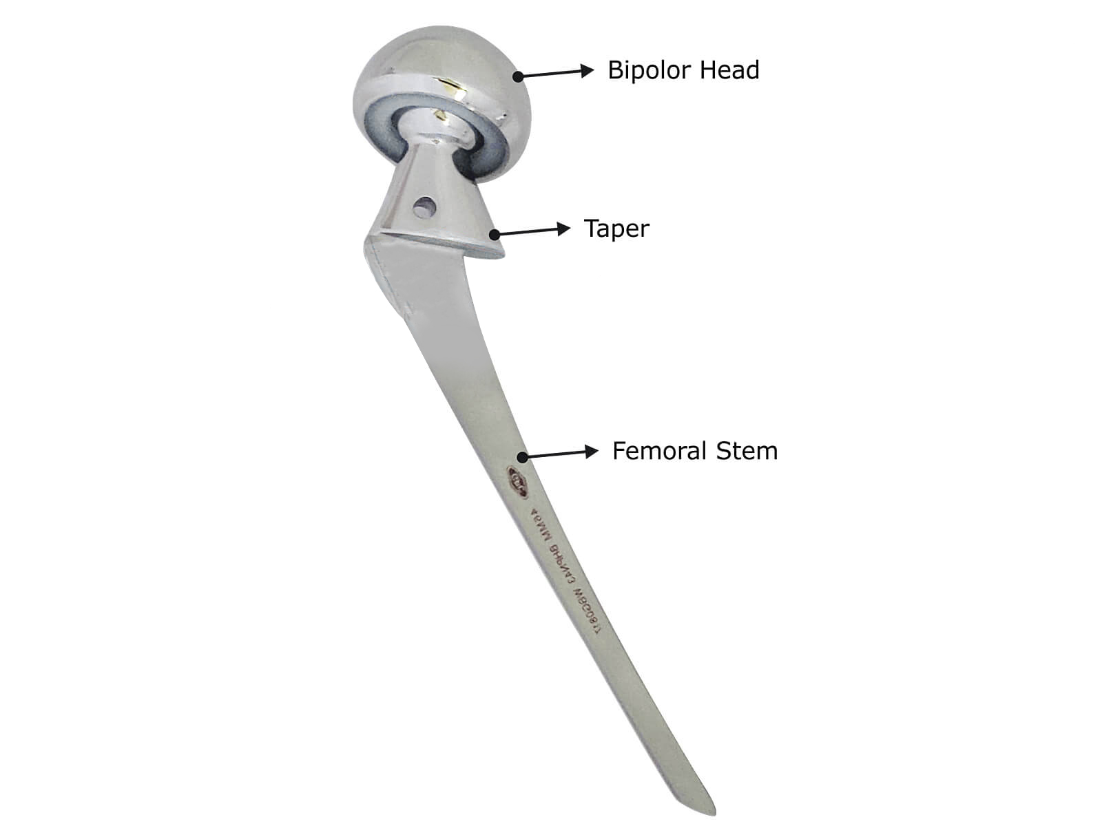 Bipolar Hip Prosthesis (Non- Fenestrated) Sterile