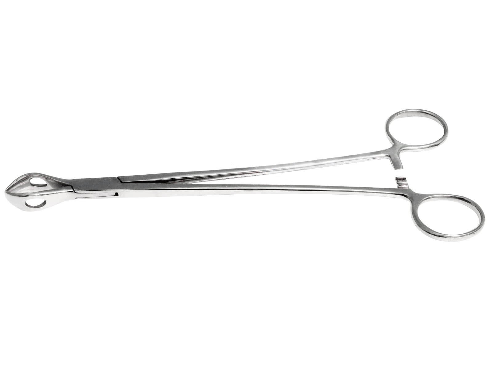 Burns Bone Holding Forceps