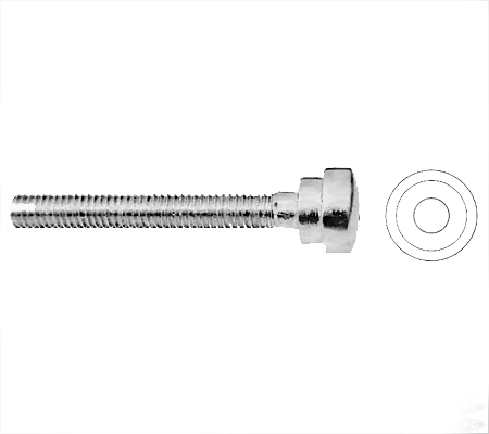 D.H.S. Compression Screw/Blocking Screw (SS)