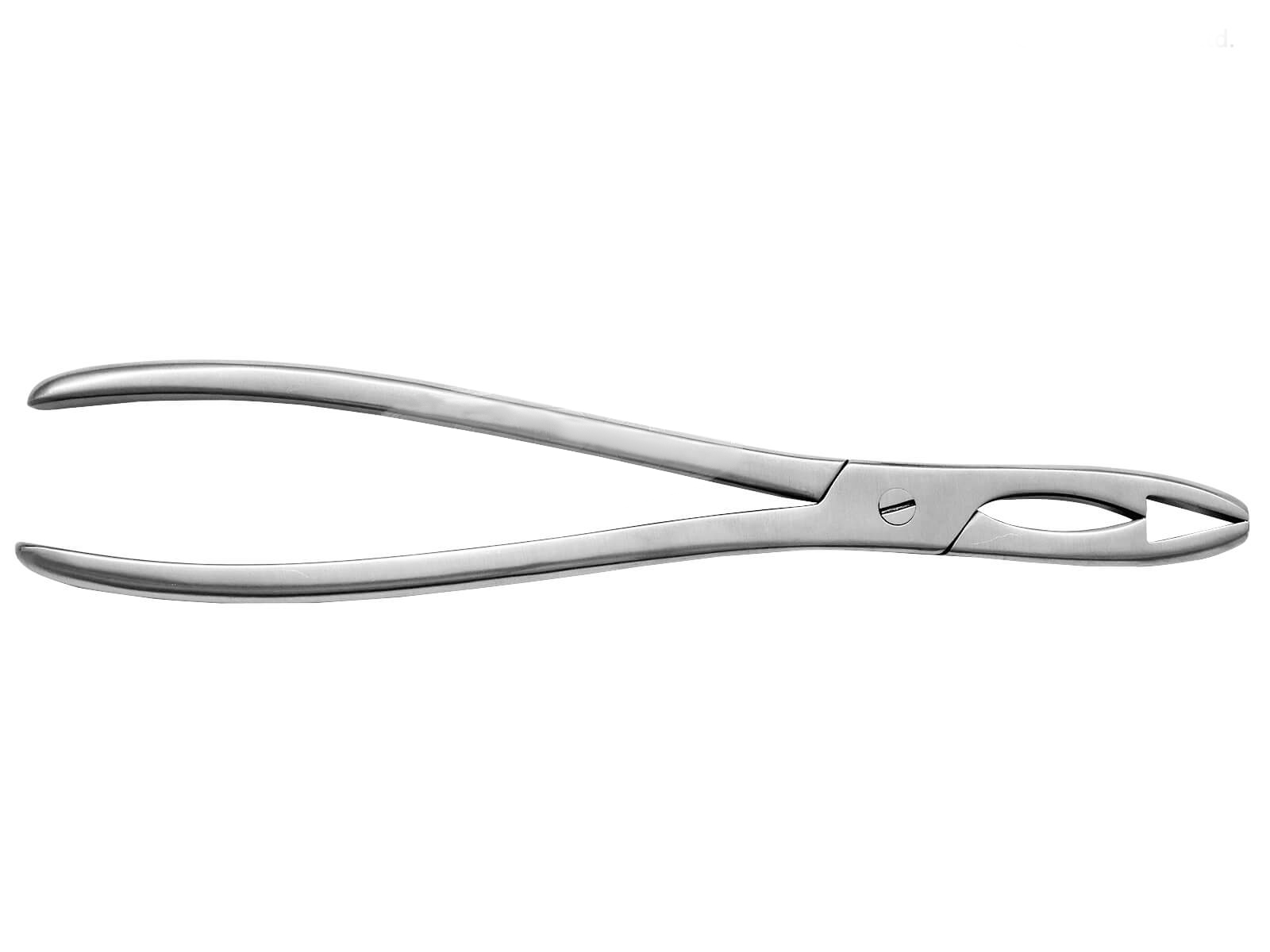 Fergussons or Lion Bone Holding Forceps