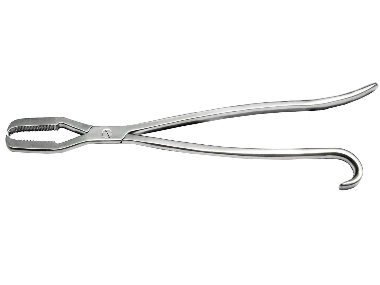 Lanes Bone Holding Forceps