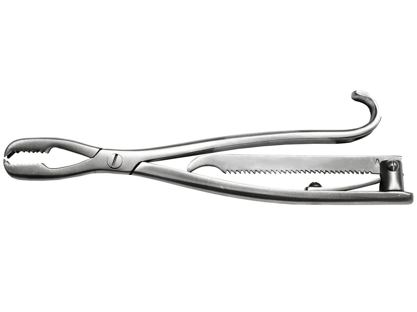 Lanes Bone Holding Forceps (with Ratchet)