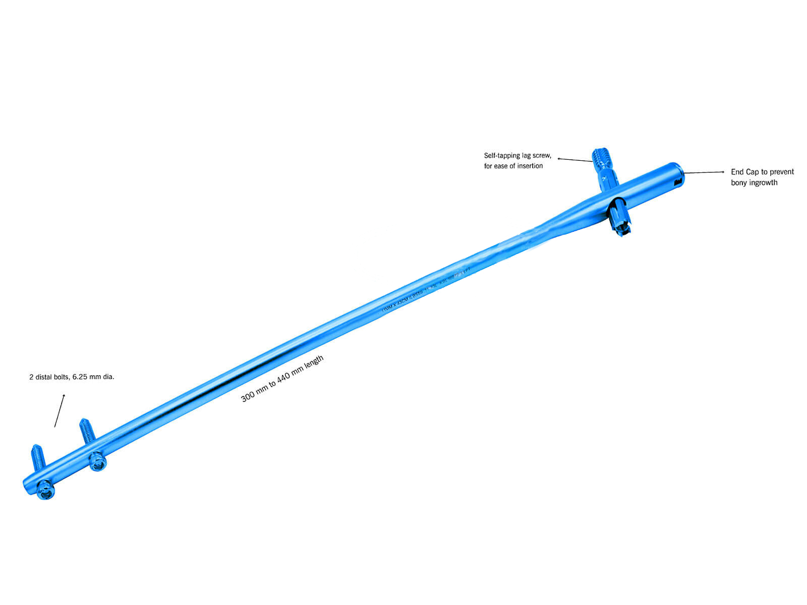 The intraHEAL Proximal Hip Stabilizing Nail, Long