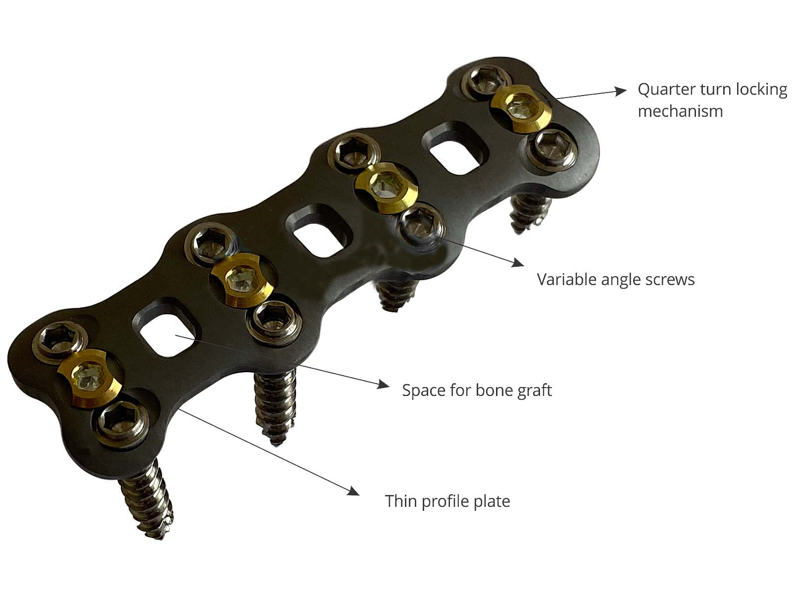 Spine HEAL Anterior Cervical Plating System