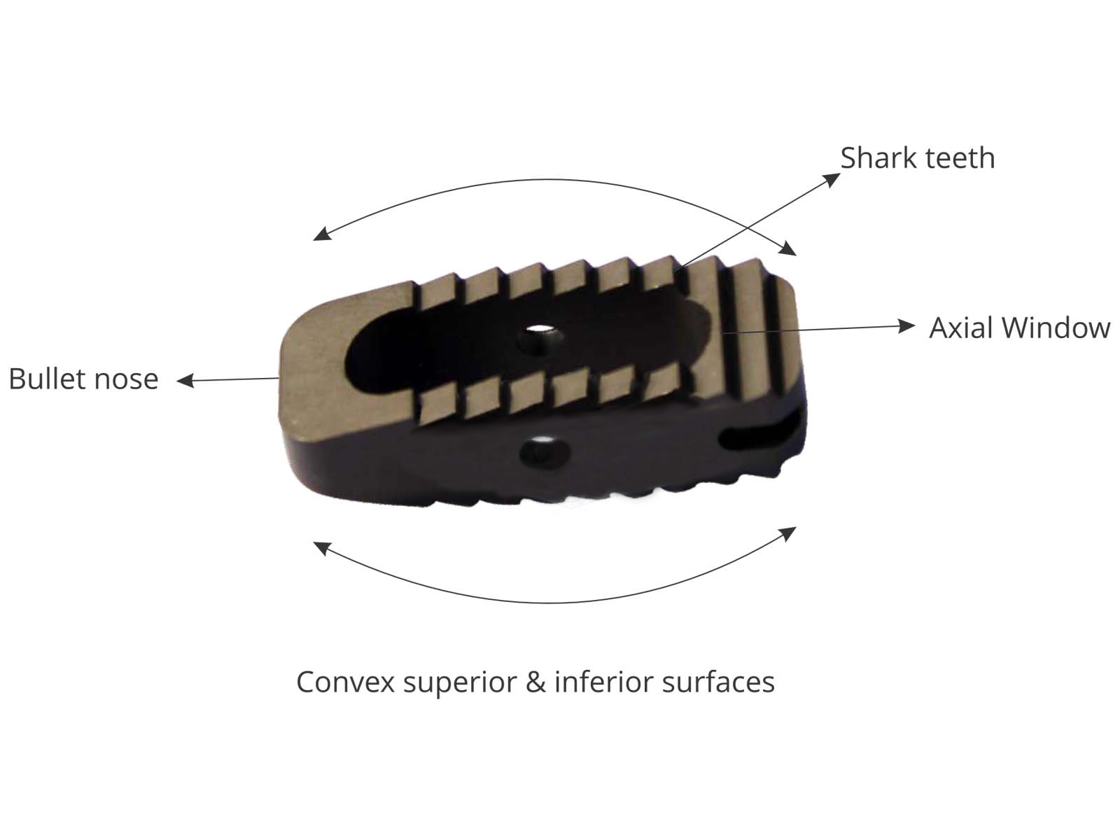 Spine HEAL Lumbar Cage System